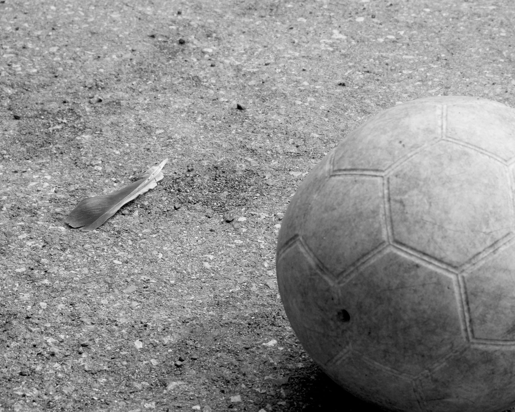 L’azienda che non voleva morire: storia di una famiglia, di un padre padrone e di due figli che a sessant’anni stanno ancora cercando di liberarsi dalla sua ombra